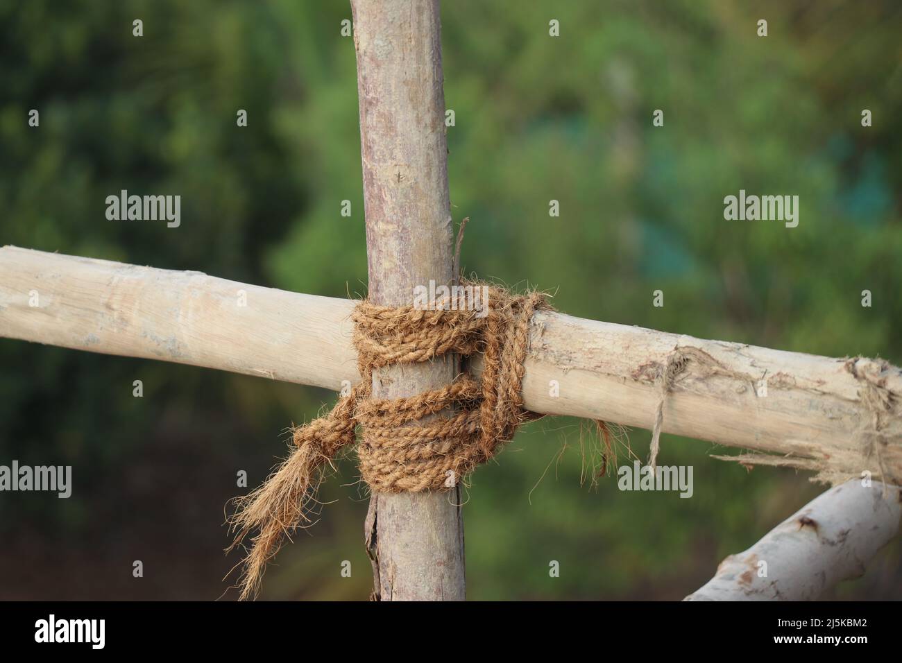 Wooden poles tied up with natural fiber ropes also called scaffolding in the construction term to temporarily support structures Stock Photo