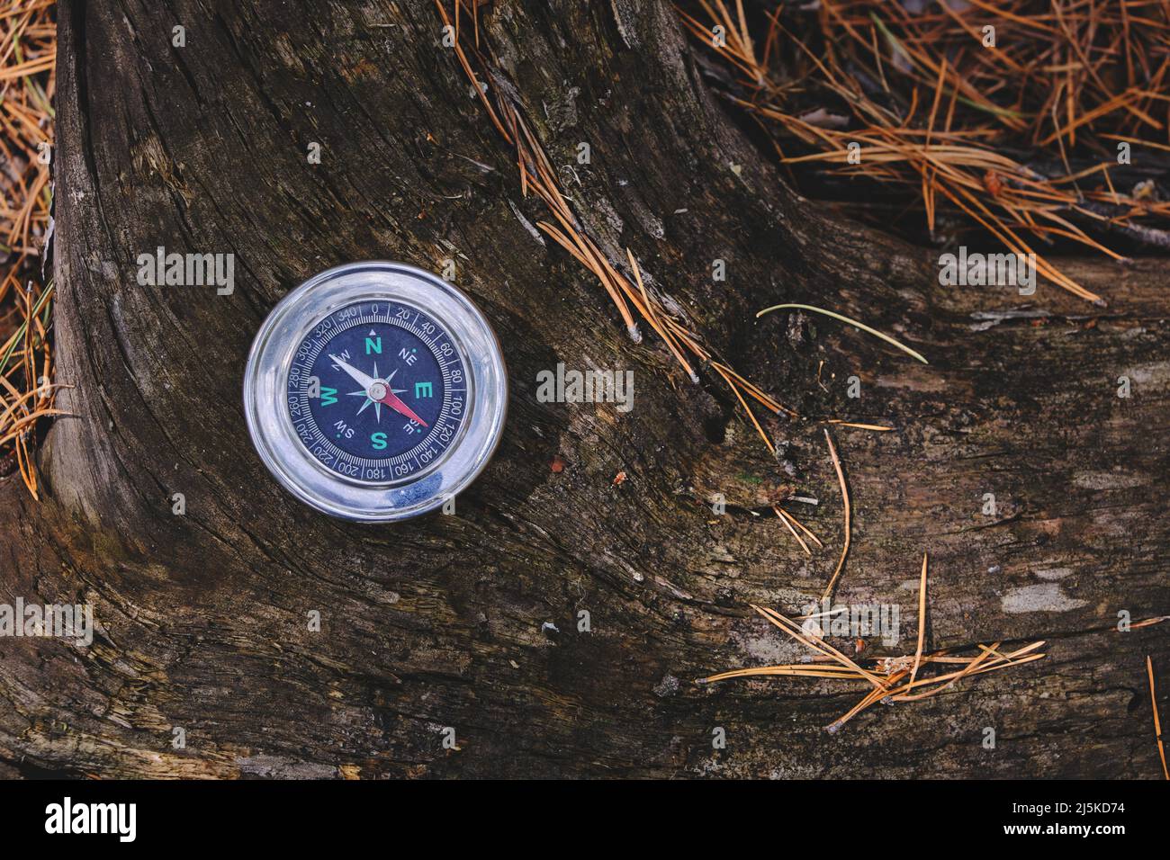 Compass on a tree stump in forest.Travel and recreation wild Stock Photo Alamy