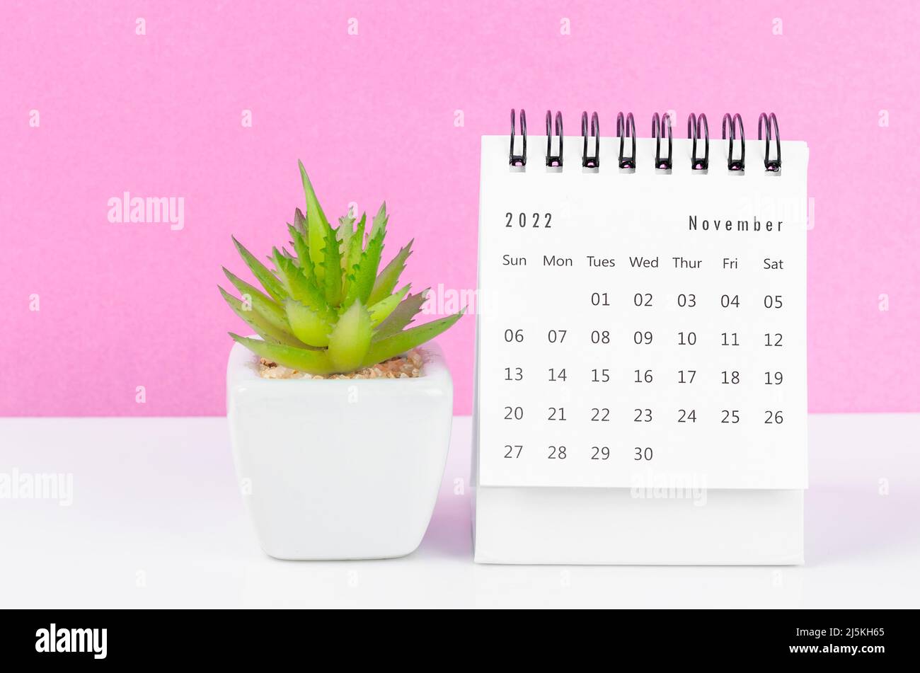 The November 2022 desk calendar with plant pot on pink background. Stock Photo