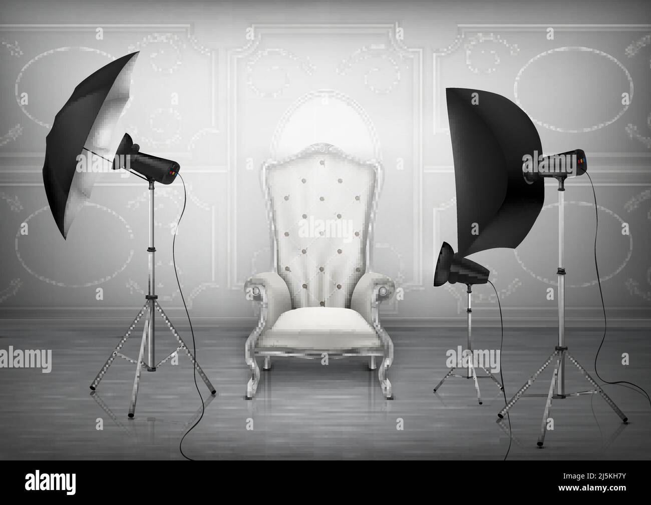 Vector background, photo studio with empty luxury armchair and wall with  decorative ornament, light diffusers and softboxes on tripods. Room mockup  wi Stock Vector Image & Art - Alamy