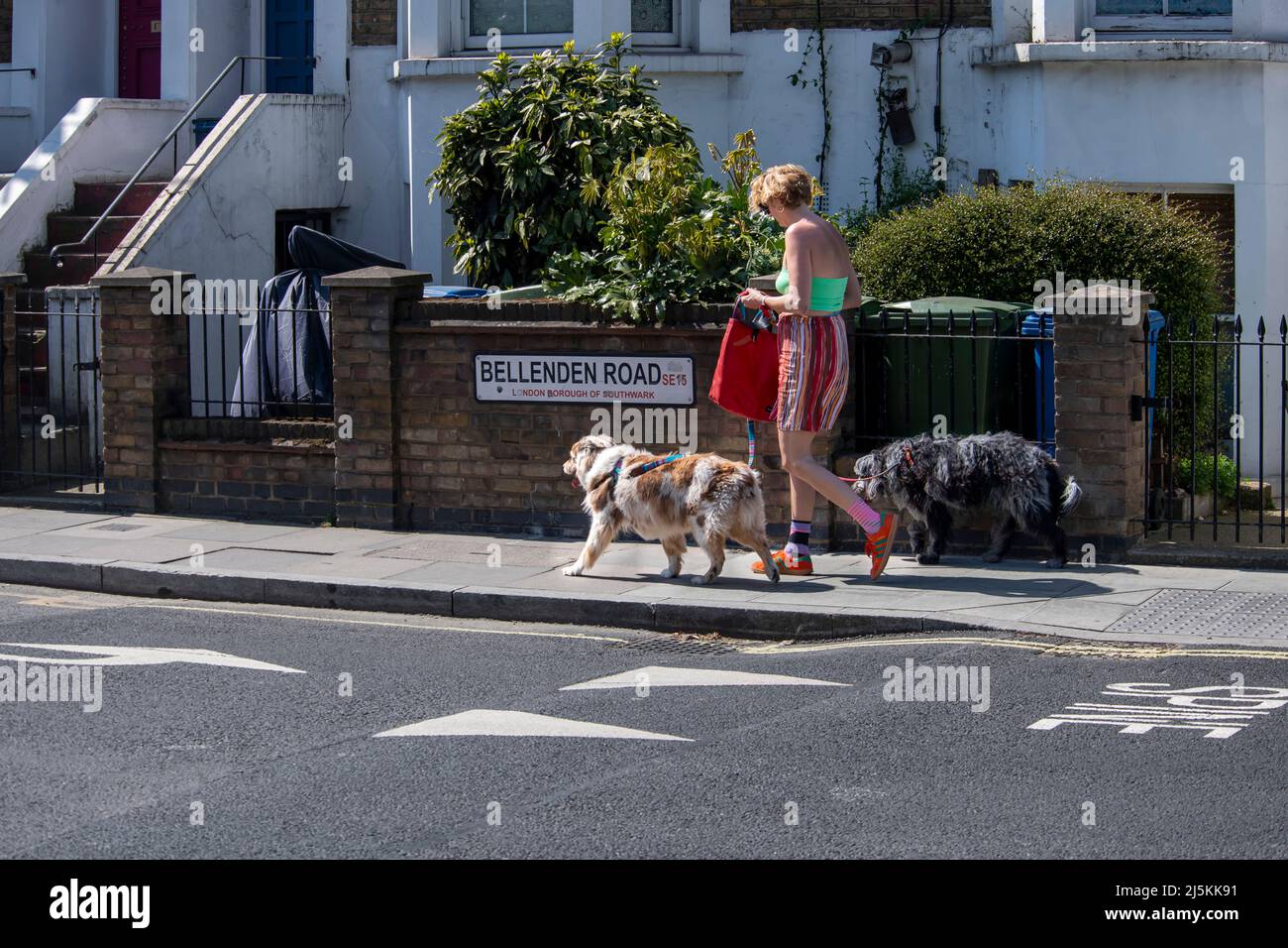 Dog walkers in Bellenden road Peckham London Stock Photo