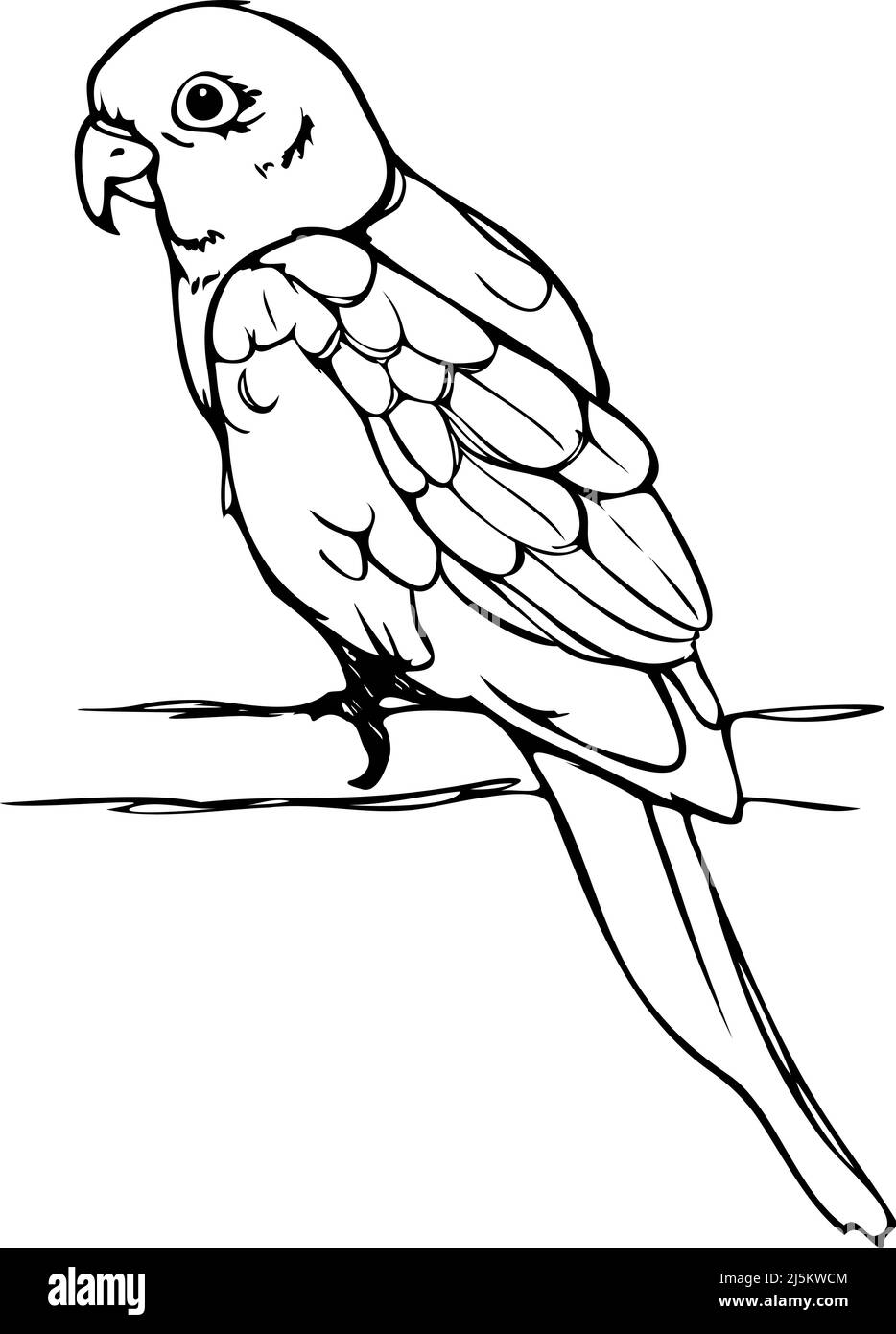 Vector illustration of hand drawn parrot. Black and white parrot sitting on branch. Stock Vector