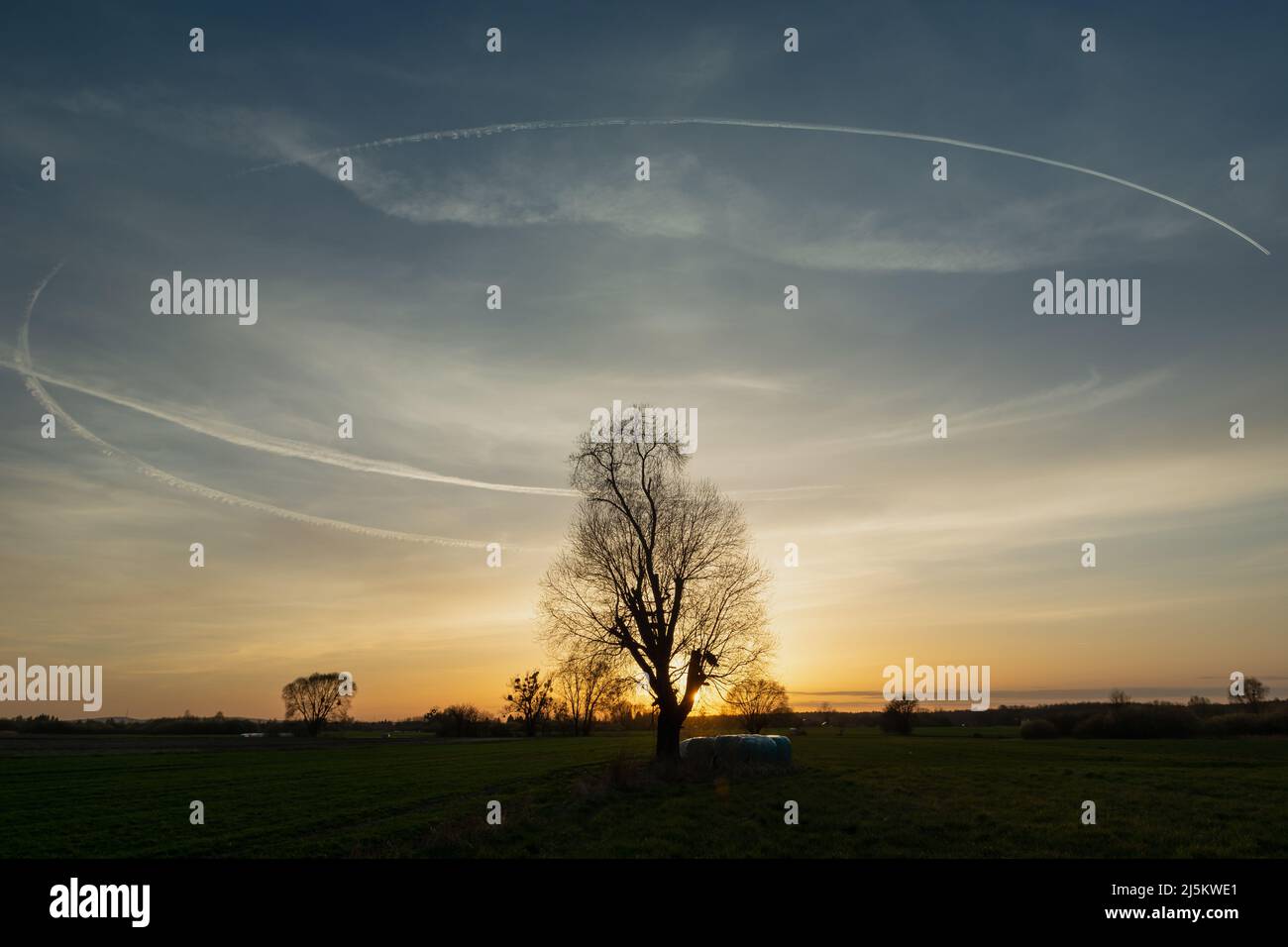 Circular condensation streak over a tree on a meadow during sunset Stock Photo