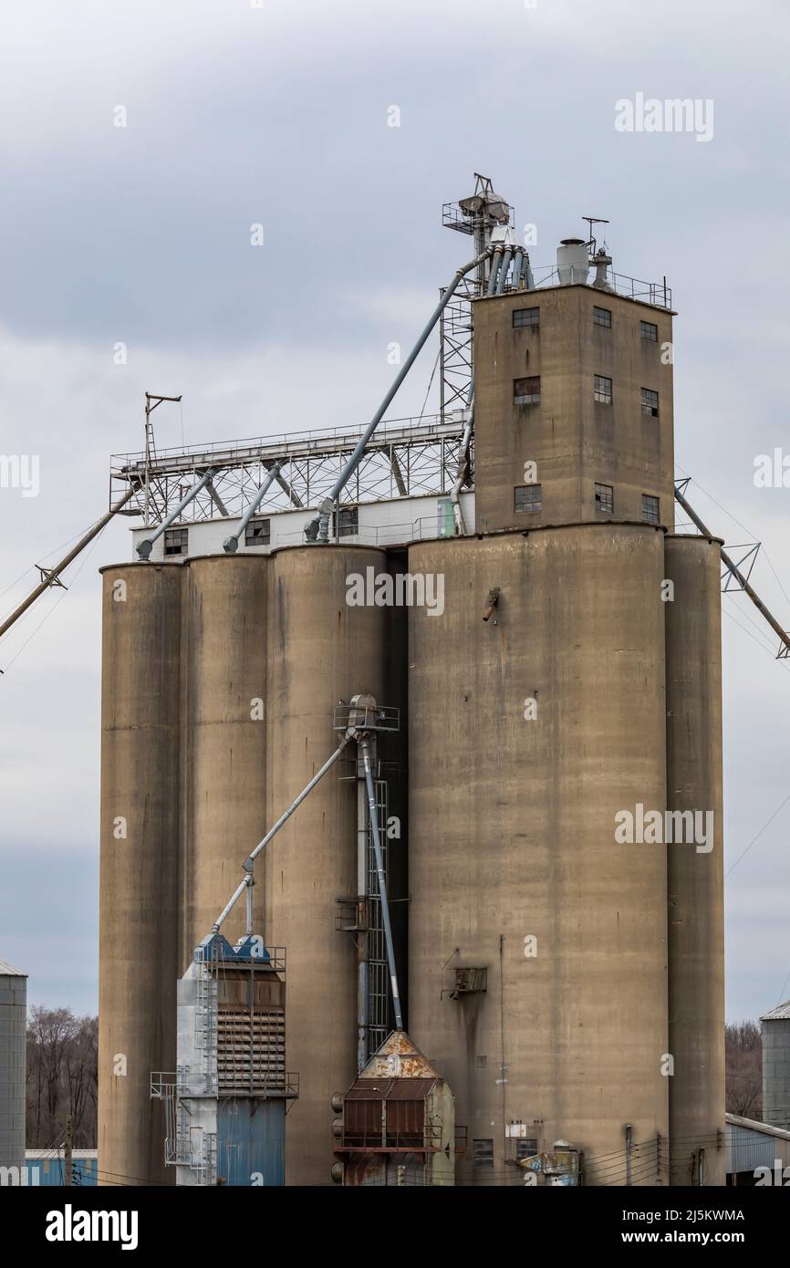 Citizens L.L.C., an exporter of soybeans and other grains, in Battle Creek, Michigan, USA [No property release; editorial licensing only] Stock Photo