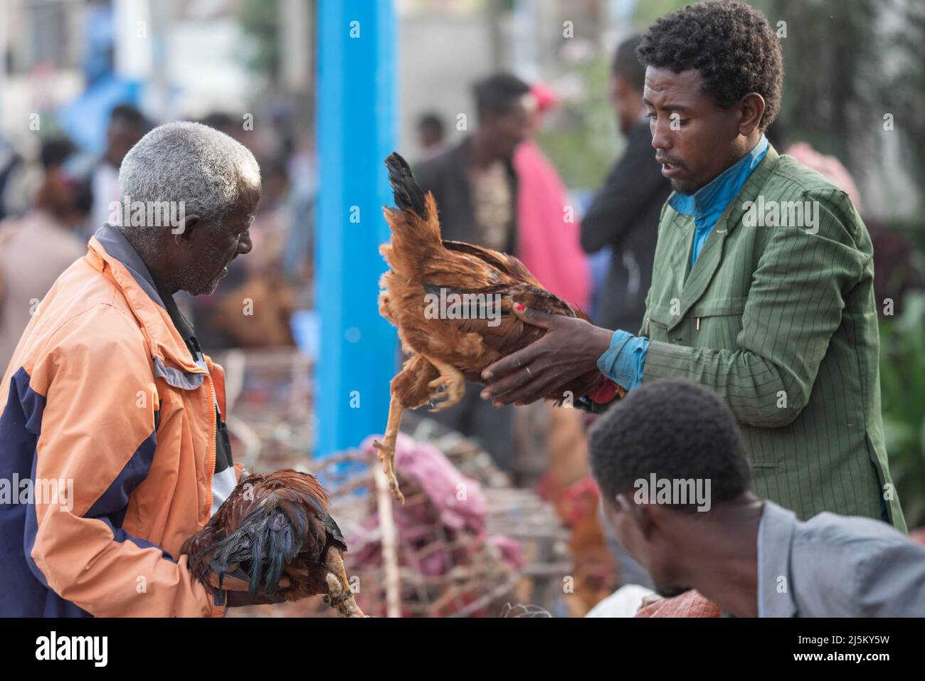 Addis Ababa, Ethiopia. 20th Apr, 2022. People buy chicken for Easter