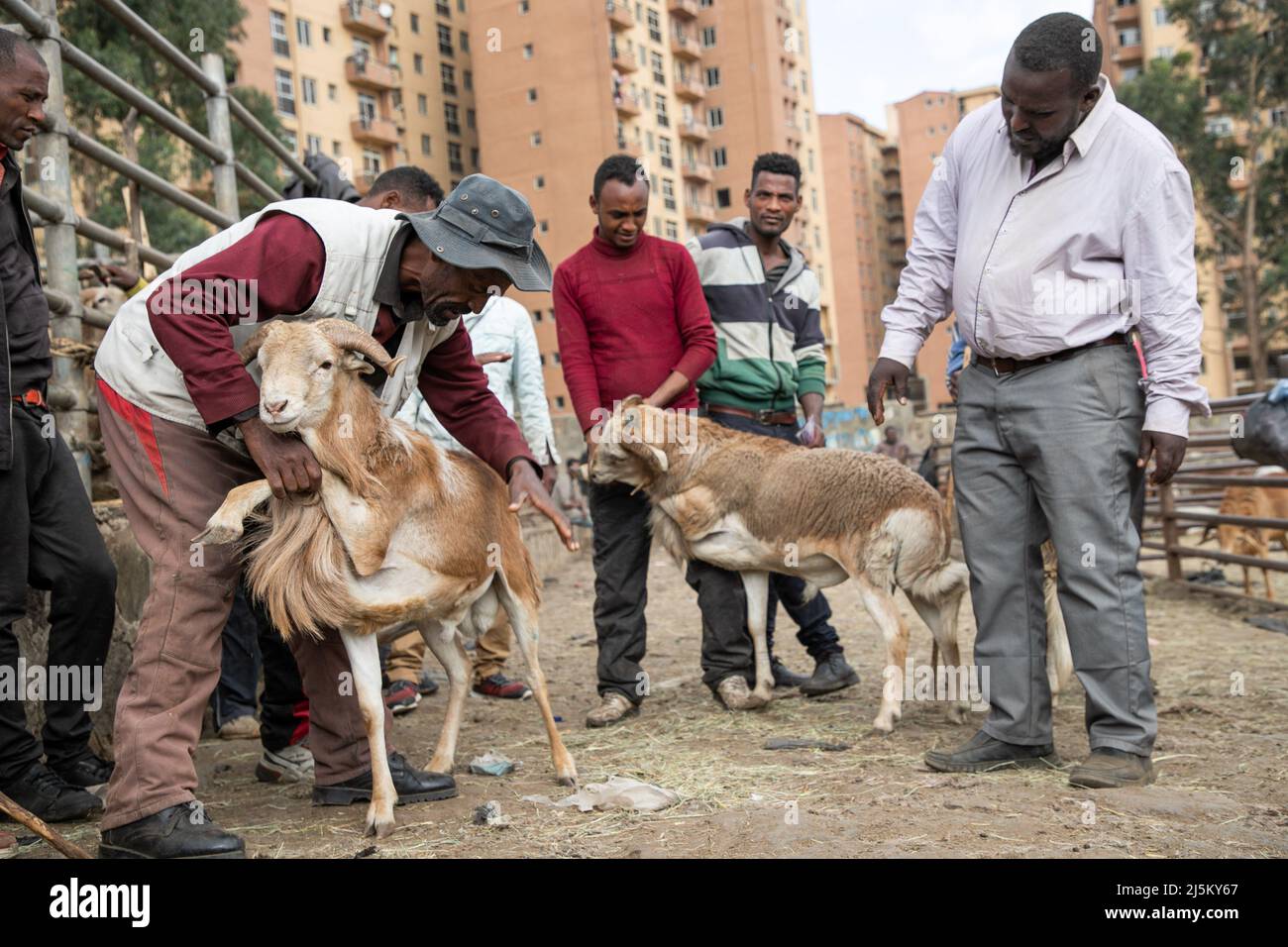 Addis Ababa. 20th Apr, 2022. Photo taken on April 20, 2022 shows