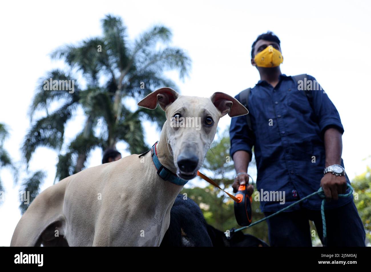 Chennai, Tamil Nadu, India. 24th Apr, 2022. People arrive with their