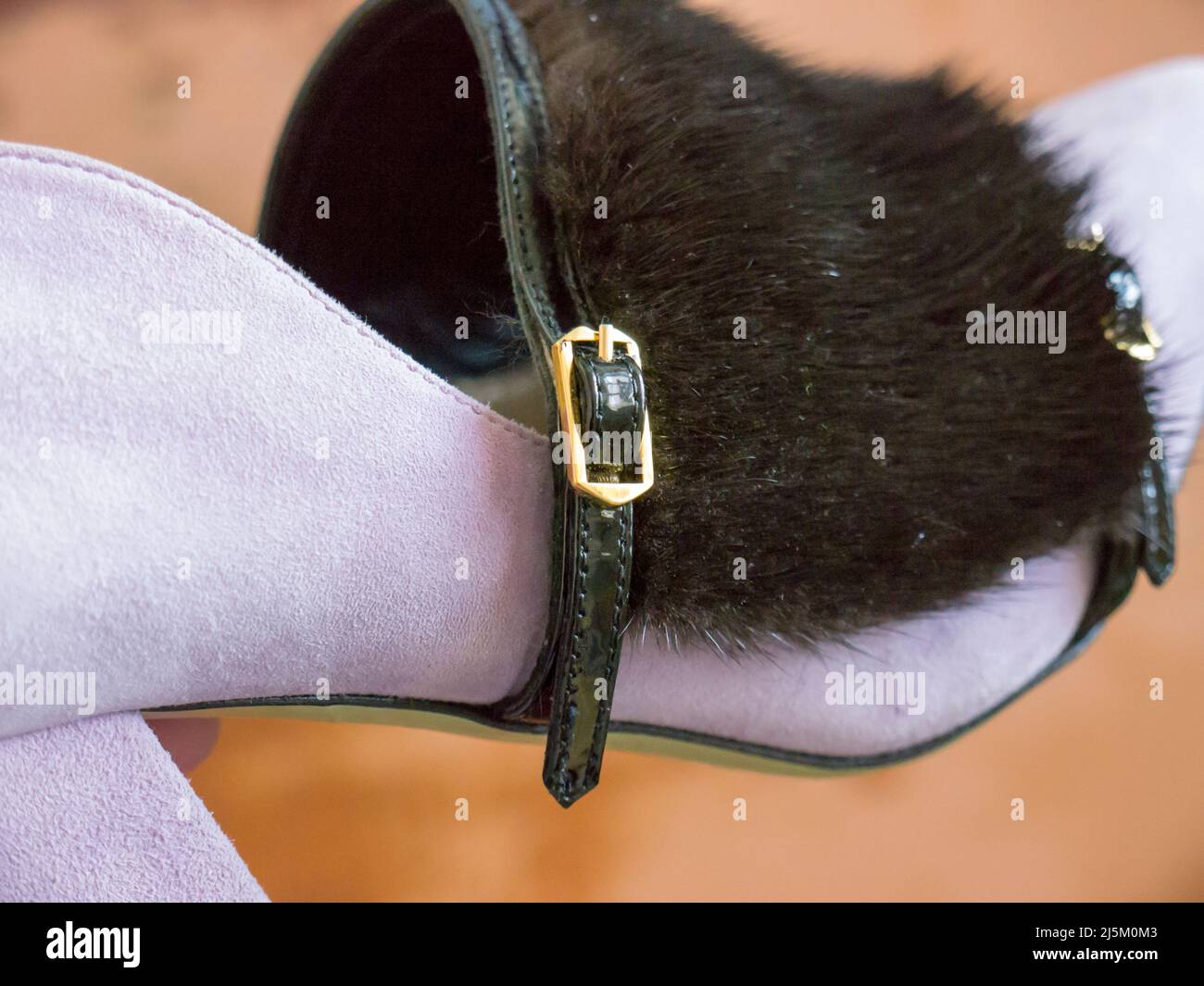 Giannico women's shoes. Giannico Italian Luxury Shoes. Stock Photo