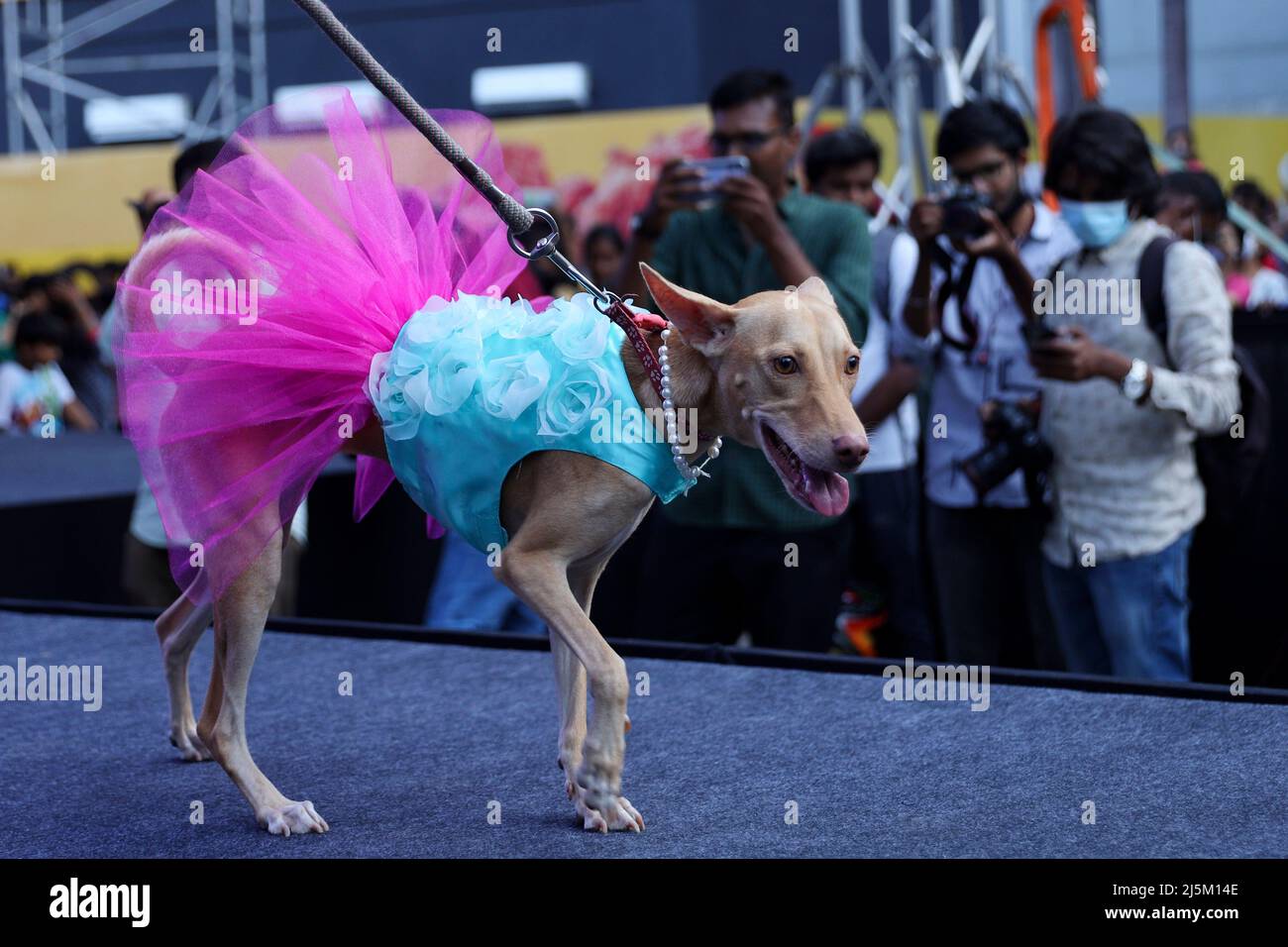 Chennai, Tamil Nadu, India. 24th Apr, 2022. People arrive with their