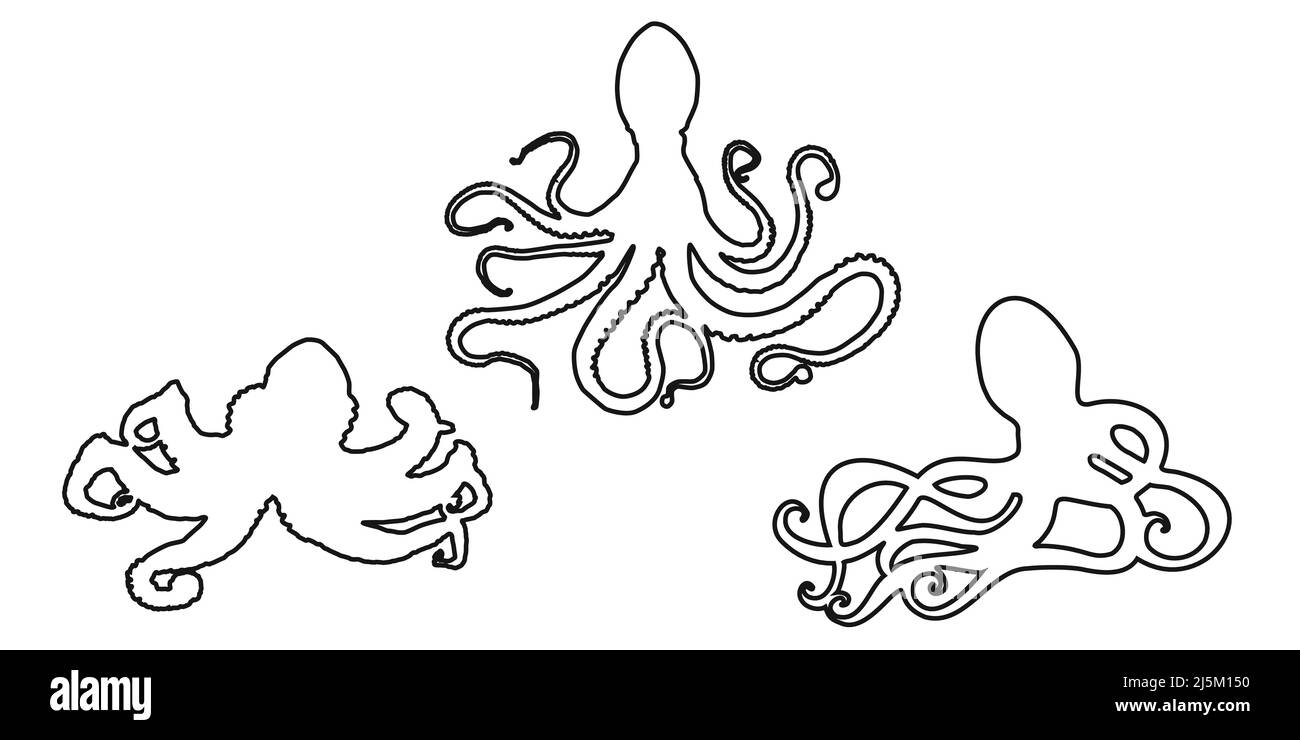 Set black outline octopus, devilfish or poulpe sign icon on white ...