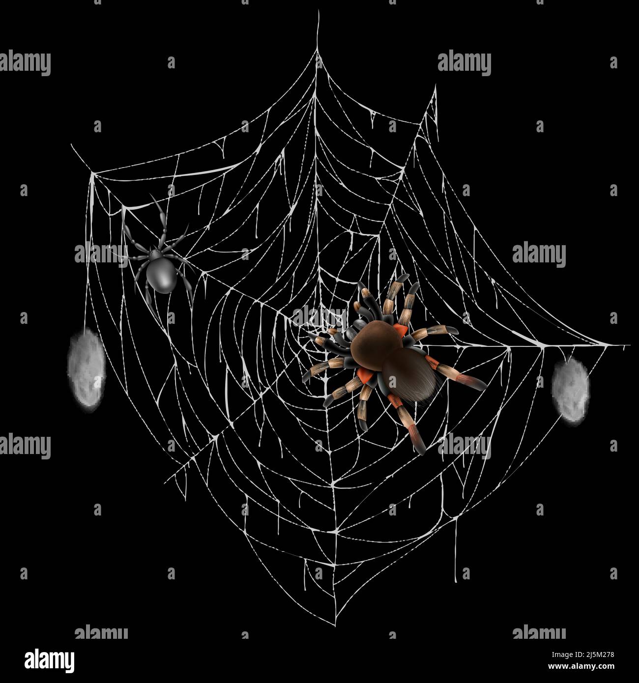 Poisonous spiders on web lace with hunted and wrapped preys 3d realistic vector isolated on black background. Tarantula and black widow spiders illust Stock Vector