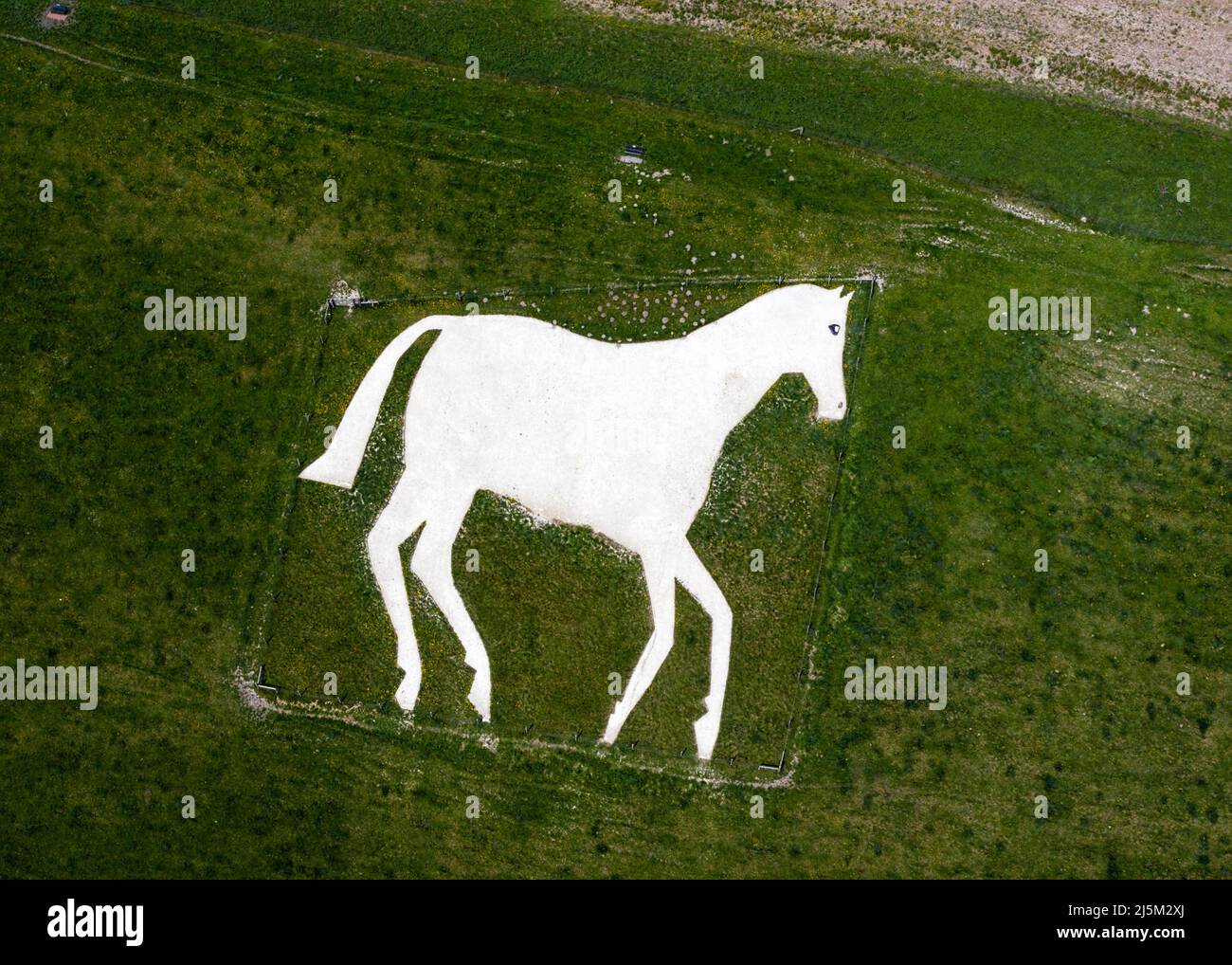 Devizes Millennium White Horse (aka “Chalkie”) at Roundway Hill on the
