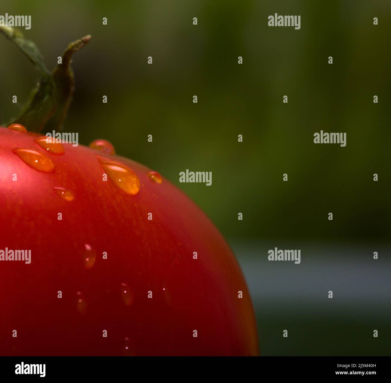 Macro image of a ripe red tomato, taken under diffused lighting from ...