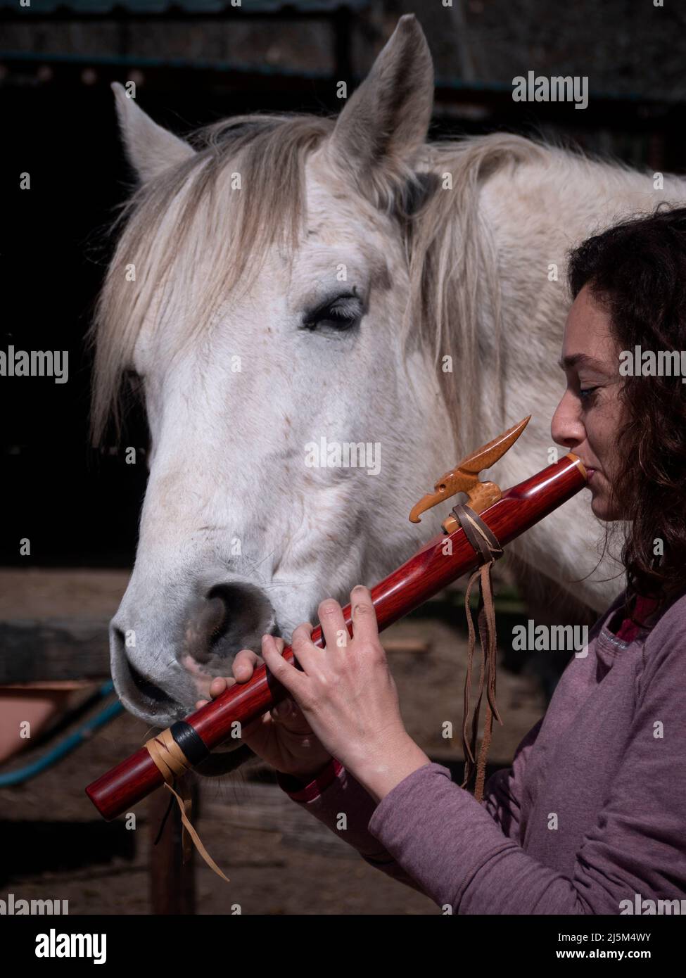 Female playing a native american flute with a wooden eagle emblem and a white horse trying to