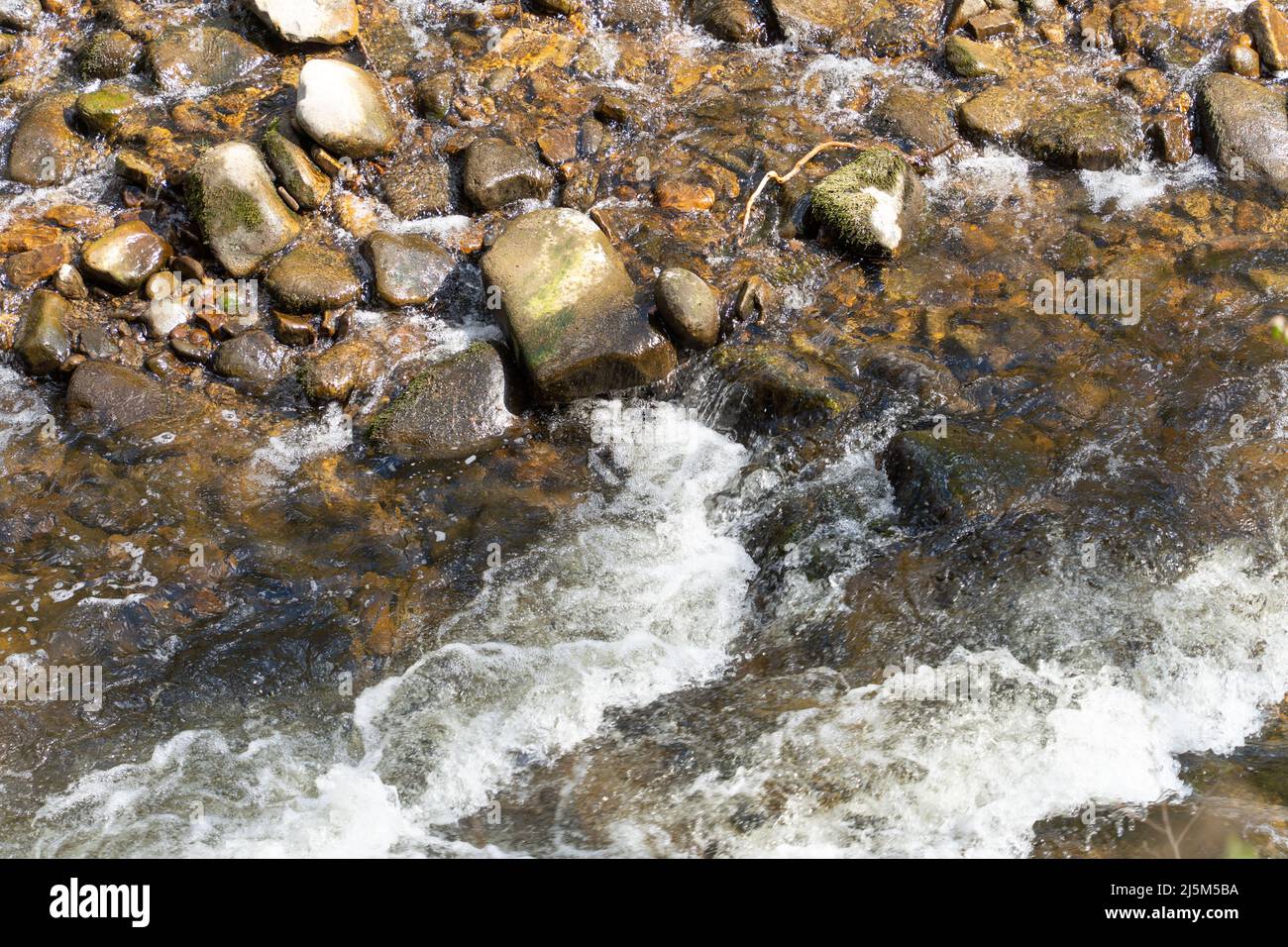 Rapid white water flows past a stony river bank in bright daylight. Stock Photo