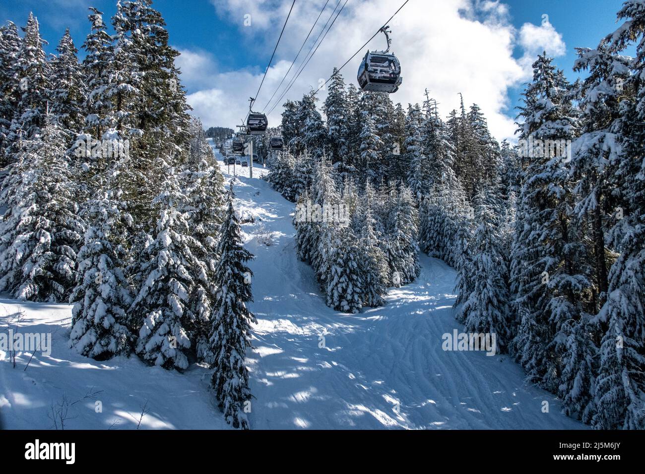 gondola going up Whistler mountain ski resort in BC, Canada Stock Photo