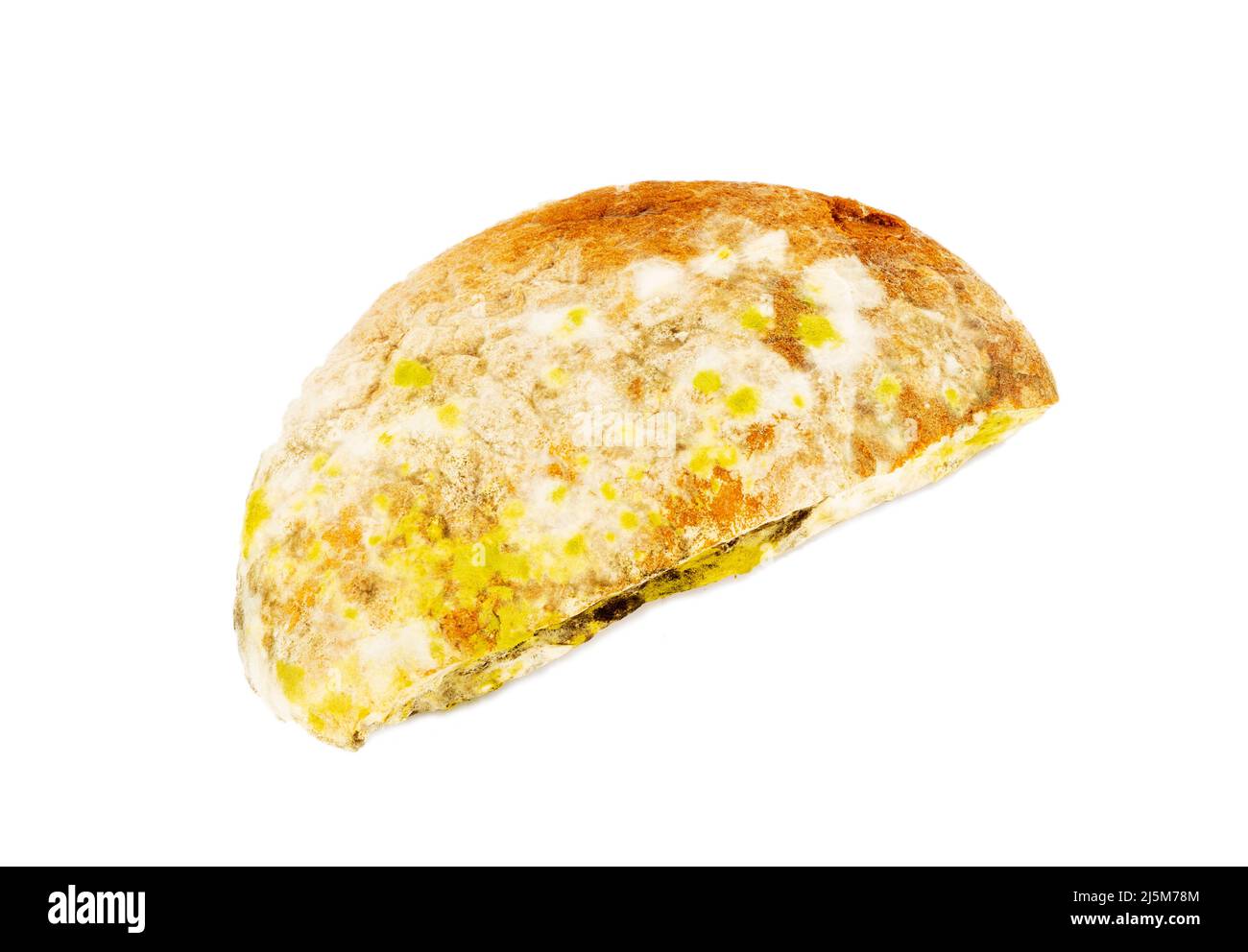 Bread mold hi-res stock photography and images - Alamy