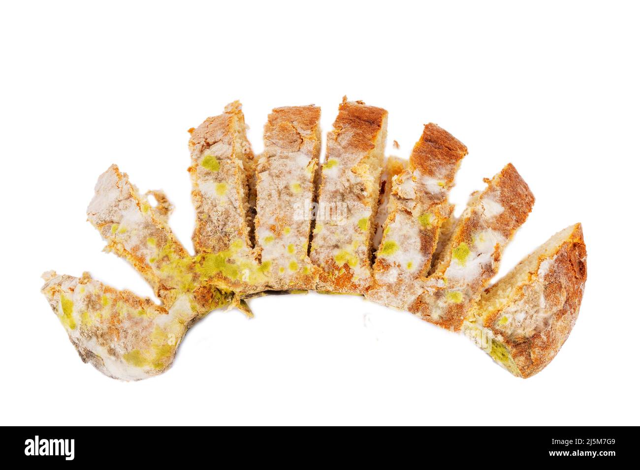 Mold on food. A mod for fluffy spores on bread. A piece of moldy bread on a white background. Stock Photo