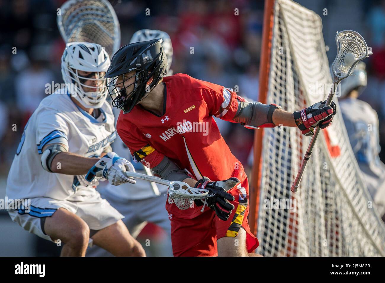 April 23, 2022: Maryland attack Logan Wisnauskas (1) during the ncaa men's lacrosse regular season finale between the Maryland Terrapins and the Johns Hopkins Blue Jays at Homewood Field in Baltimore, Maryland Photographer: Cory Royster Stock Photo