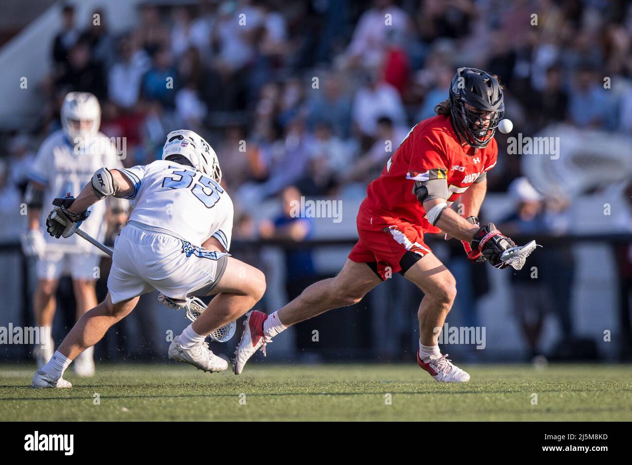 April 23, 2022: Maryland fo Luke Wierman (52) was dominant on faceoff battles throughout the game during the ncaa men's lacrosse regular season finale between the Maryland Terrapins and the Johns Hopkins Blue Jays at Homewood Field in Baltimore, Maryland Photographer: Cory Royster Stock Photo