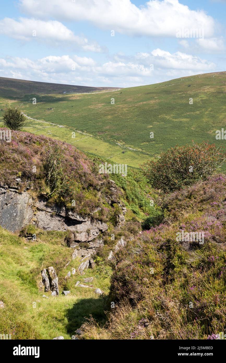 UK, England, Devonshire, Dartmoor. Ancient tin mining channels or gerts