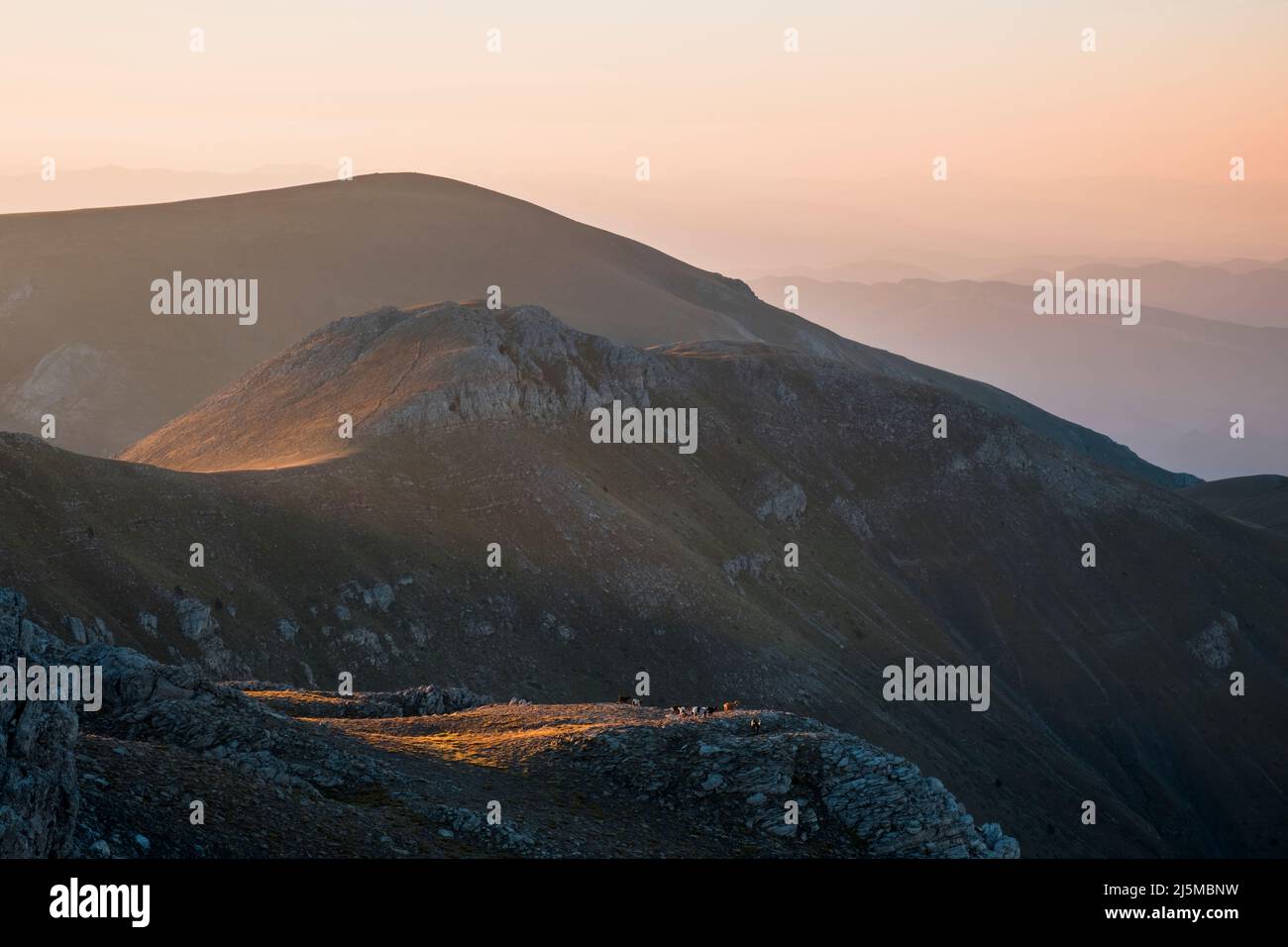 Morning light over the surroundings of Tosa d'Alp or La Tosa. Catalonia. Spain. Stock Photo