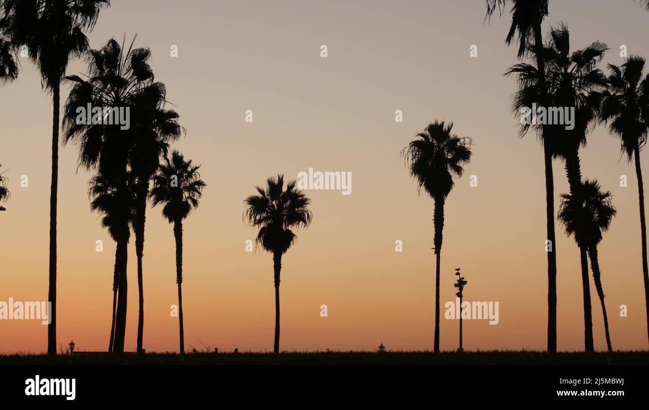 Orange and purple sky, silhouettes of