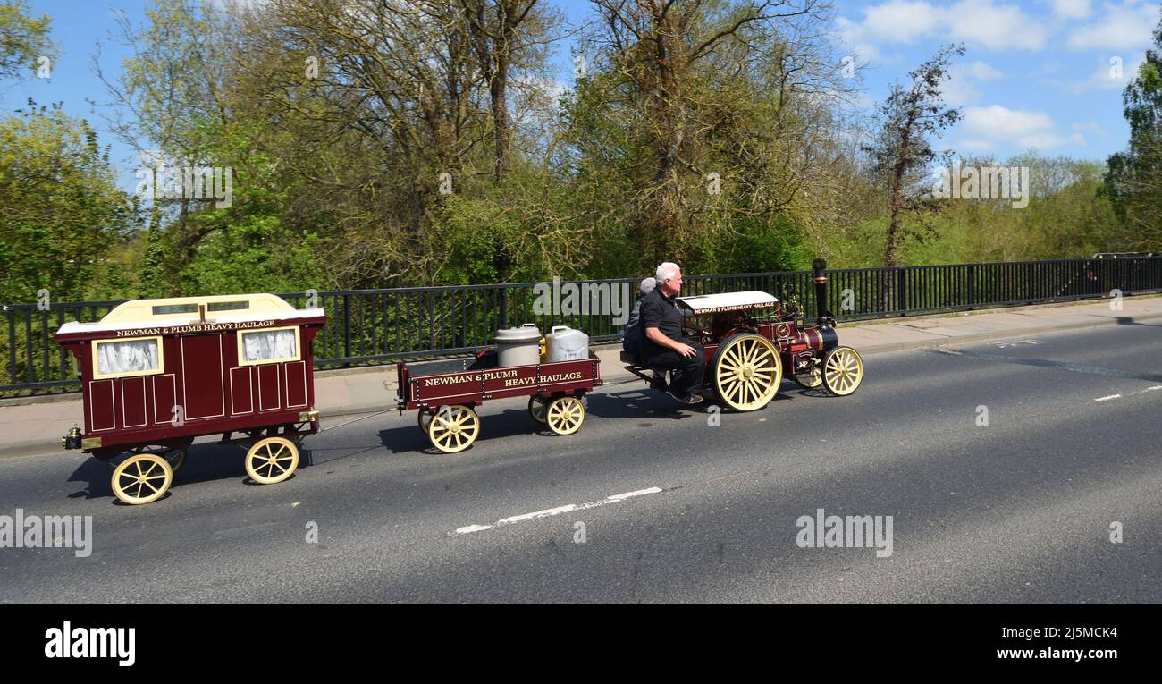 Miniature  Steam traction engine with two trailers being driven on public road. Stock Photo