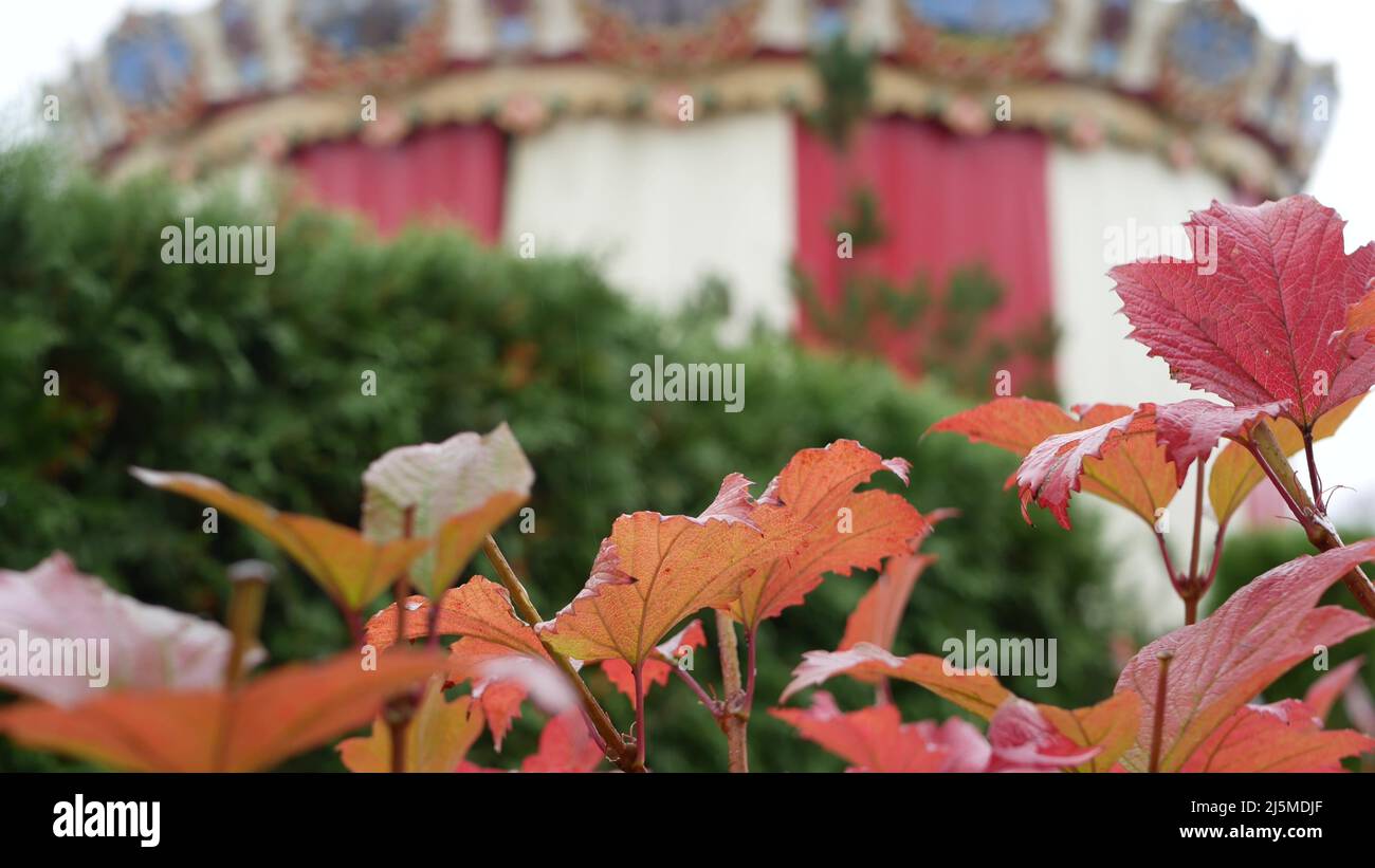 Vintage carousel in autumn park, retro circus or merry go round ...