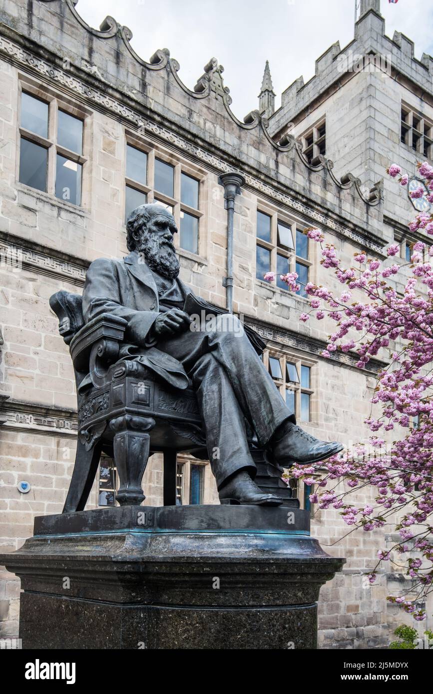 Seated charles darwin statue hires stock photography and images Alamy