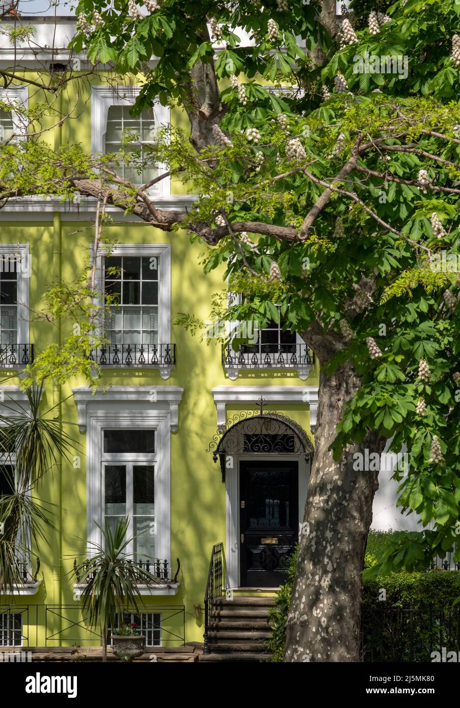 Coloured house notting hill hires stock photography and images Alamy