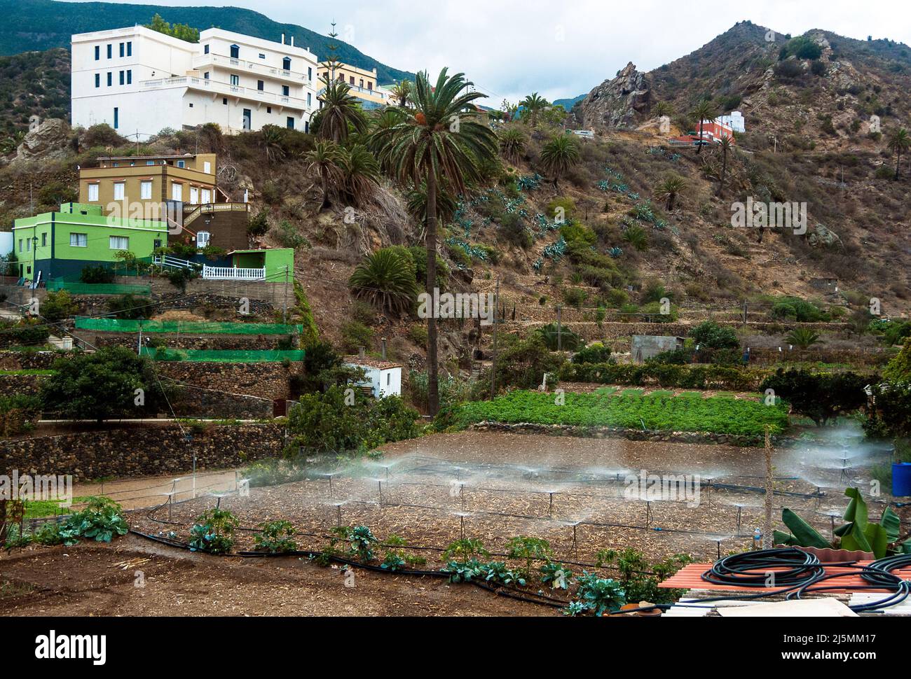 Vallehermoso, La Gomera, Canary Islands, Spain:  cultivation irrigation Stock Photo