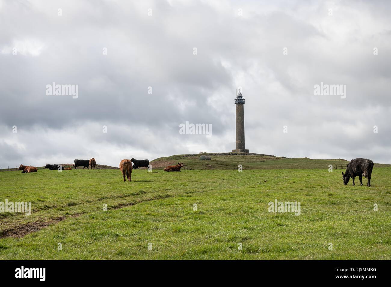 The Wellington - Waterloo Monument Tower in the Scottish borders, Jedburgh, Scotland Stock Photo