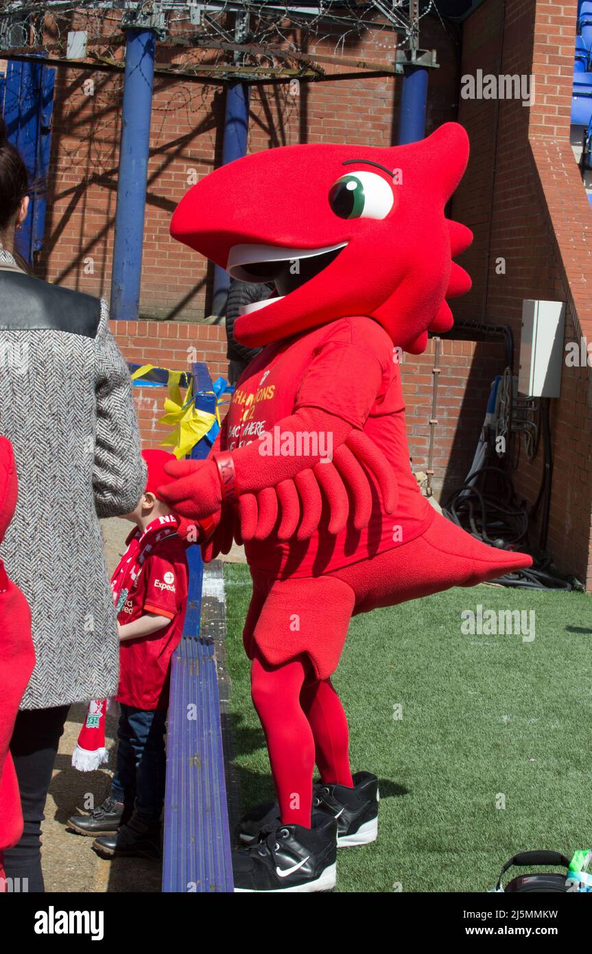 Birkenhead, UK. 24th Apr, 2022. Liverpool Mascot during the Womens Championship football match between Liverpool and Sheffield United at Prenton Park in Birkenhead, England. Terry Scott/SPP Credit: SPP Sport Press Photo. /Alamy Live News Stock Photo