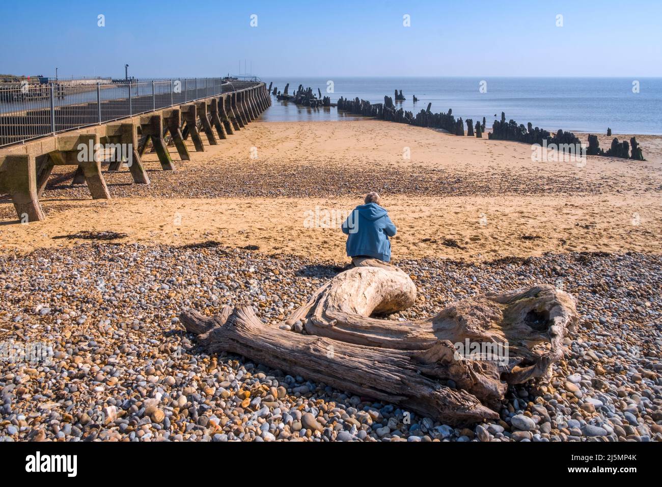 Groynes old and new, at low tide and a lady sitting on a large driftwood log at Walberswick estuary, Suffolk, UK. Stock Photo