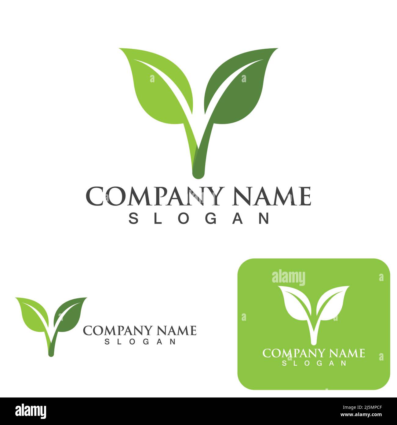 Logos of green Tree leaf ecology nature element vector Stock Vector ...