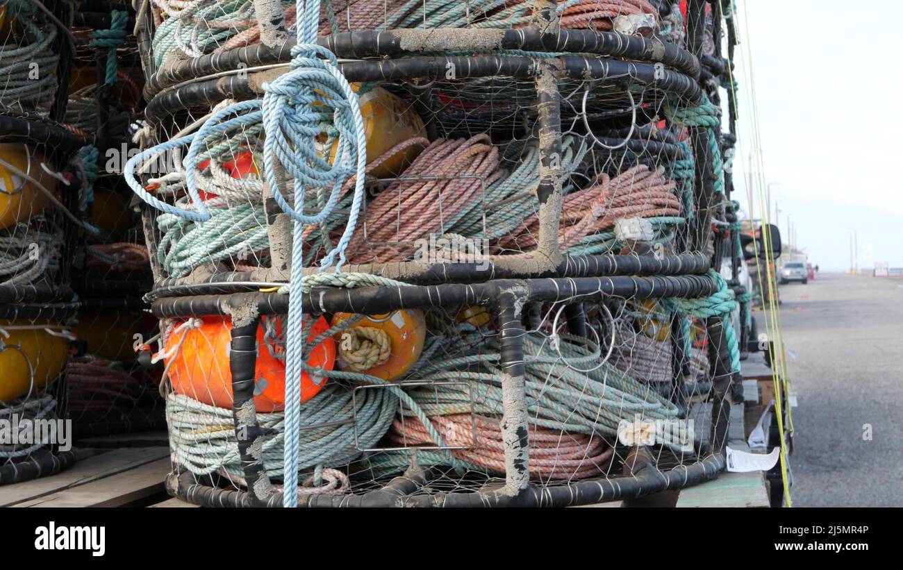 Traps, ropes and cages on pier, commercial dock, fishing industry