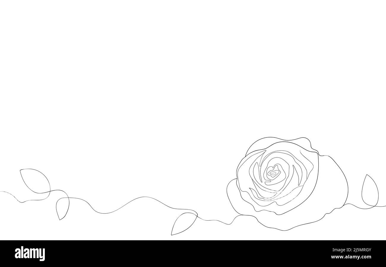 floral-silhouette-art-line-flowers-in-continuous-line-drawing-style