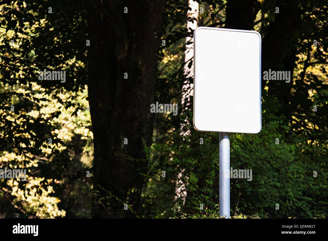 Empty blank sign board on a pole in a forest Stock Photo - Alamy