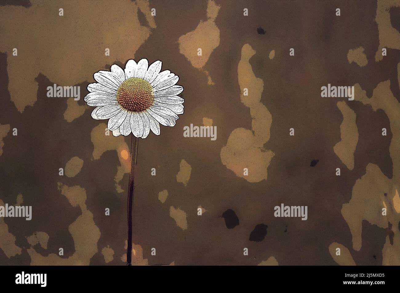Daisy flower illustration on brown background Stock Photo