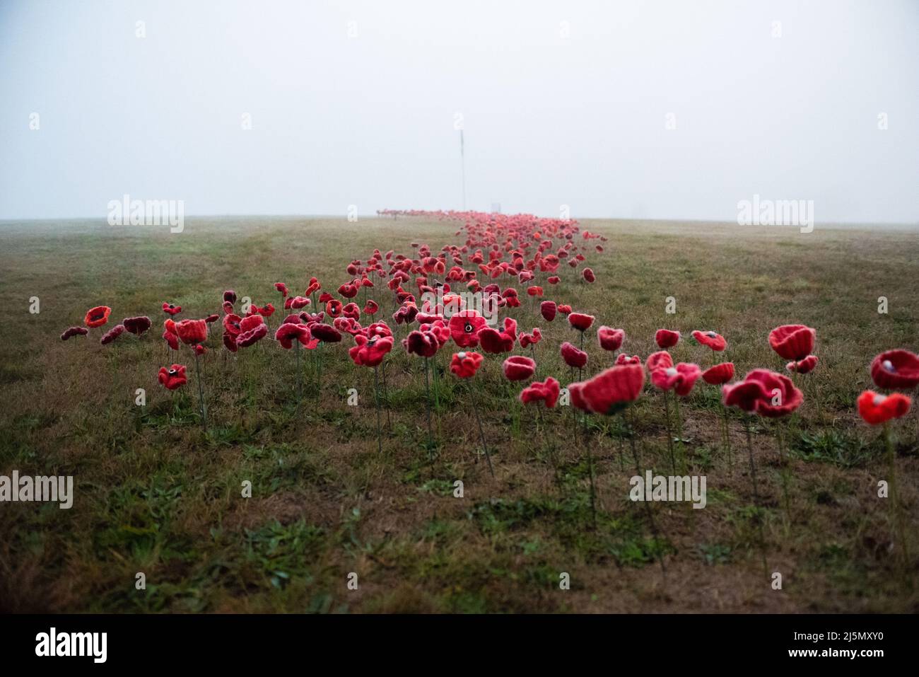 Melbourne, Australia. 25th April 2022. A field of handmade red poppy flowers placed at Lilydale Memorial Park to commemorate Anzac Day. Credit: Jay Kogler/Alamy Live News Stock Photo