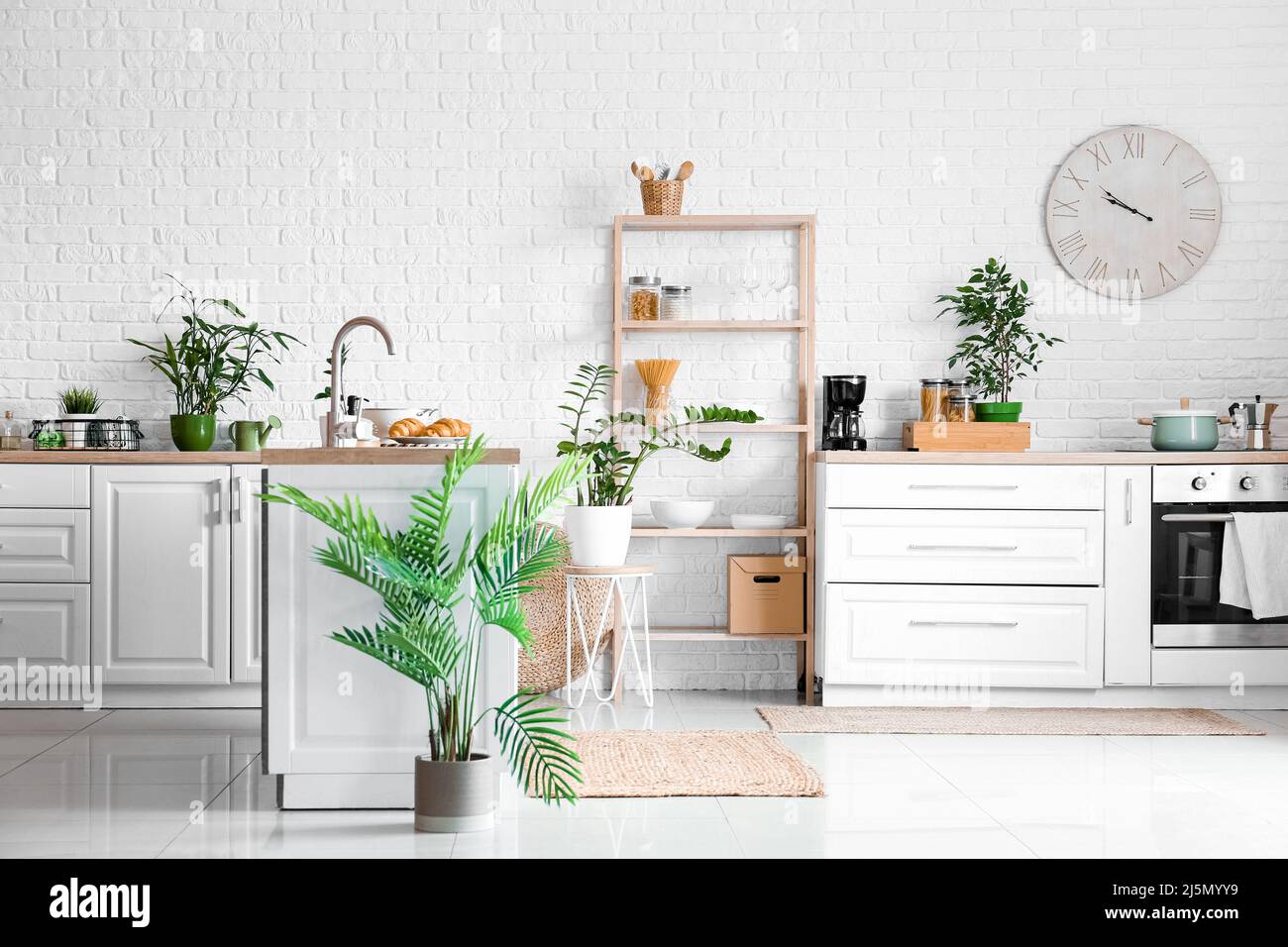 Interior of modern kitchen with shelving unit, houseplants and clock ...