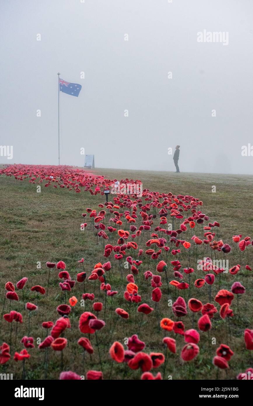 Melbourne, Australia. 25th April 2022. A man pays his respects at a field of handmade poppies placed at Lilydale Memorial Park to commemorate Anzac Day. Credit: Jay Kogler/Alamy Live News Stock Photo