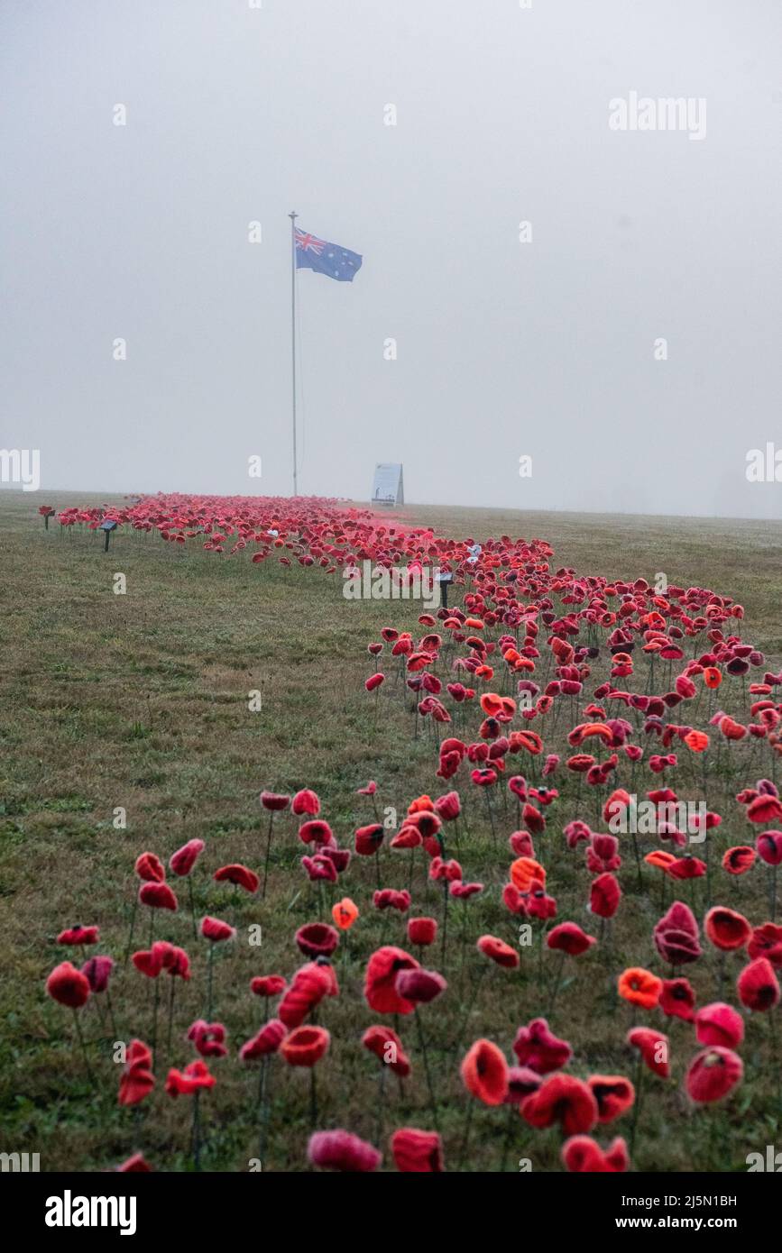 Melbourne, Australia. 25th April 2022. A field of handmade red poppy flowers placed at Lilydale Memorial Park on a foggy morning to commemorate Anzac Day. Credit: Jay Kogler/Alamy Live News Stock Photo