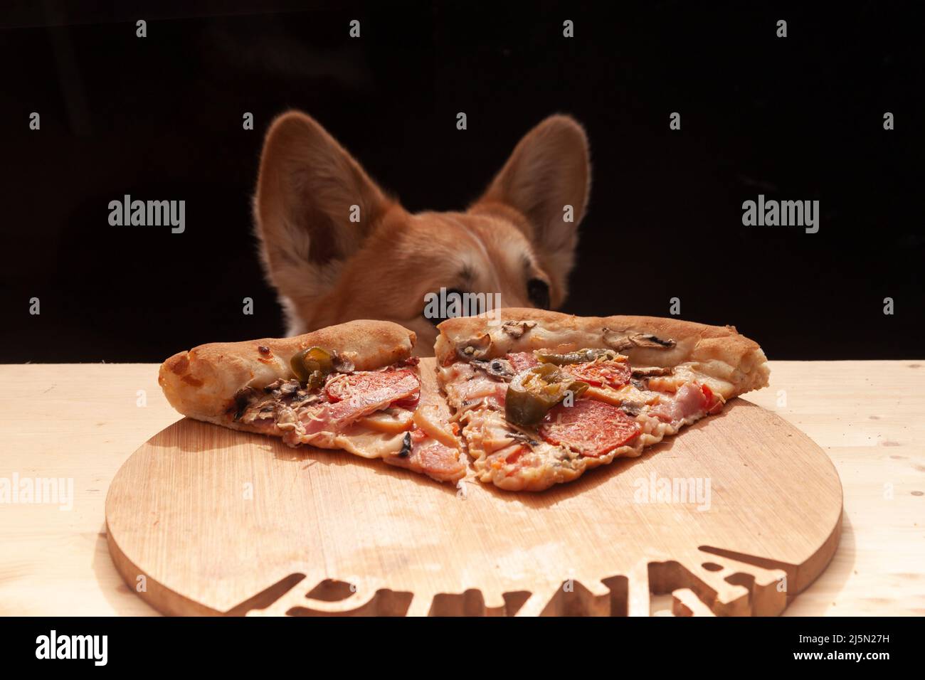 One cute Pembroke wants to eat a slice of pizza from the table