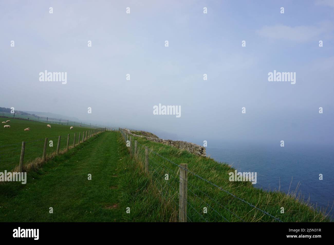 Approaching the Scottish border along the coastal path Stock Photo Alamy