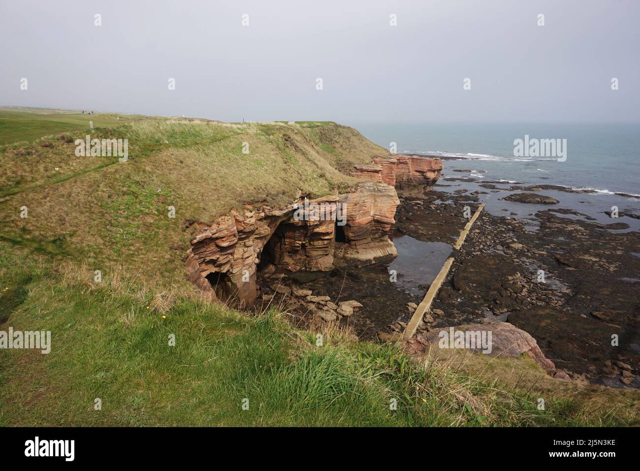 Coastal path between Berwick and the Scottish border Stock Photo Alamy