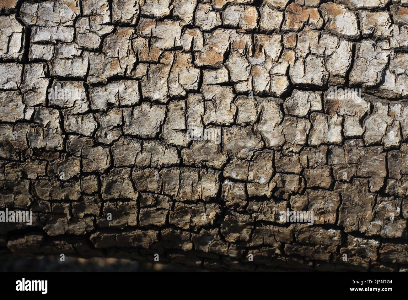 Wooden background image Stock Photo - Alamy