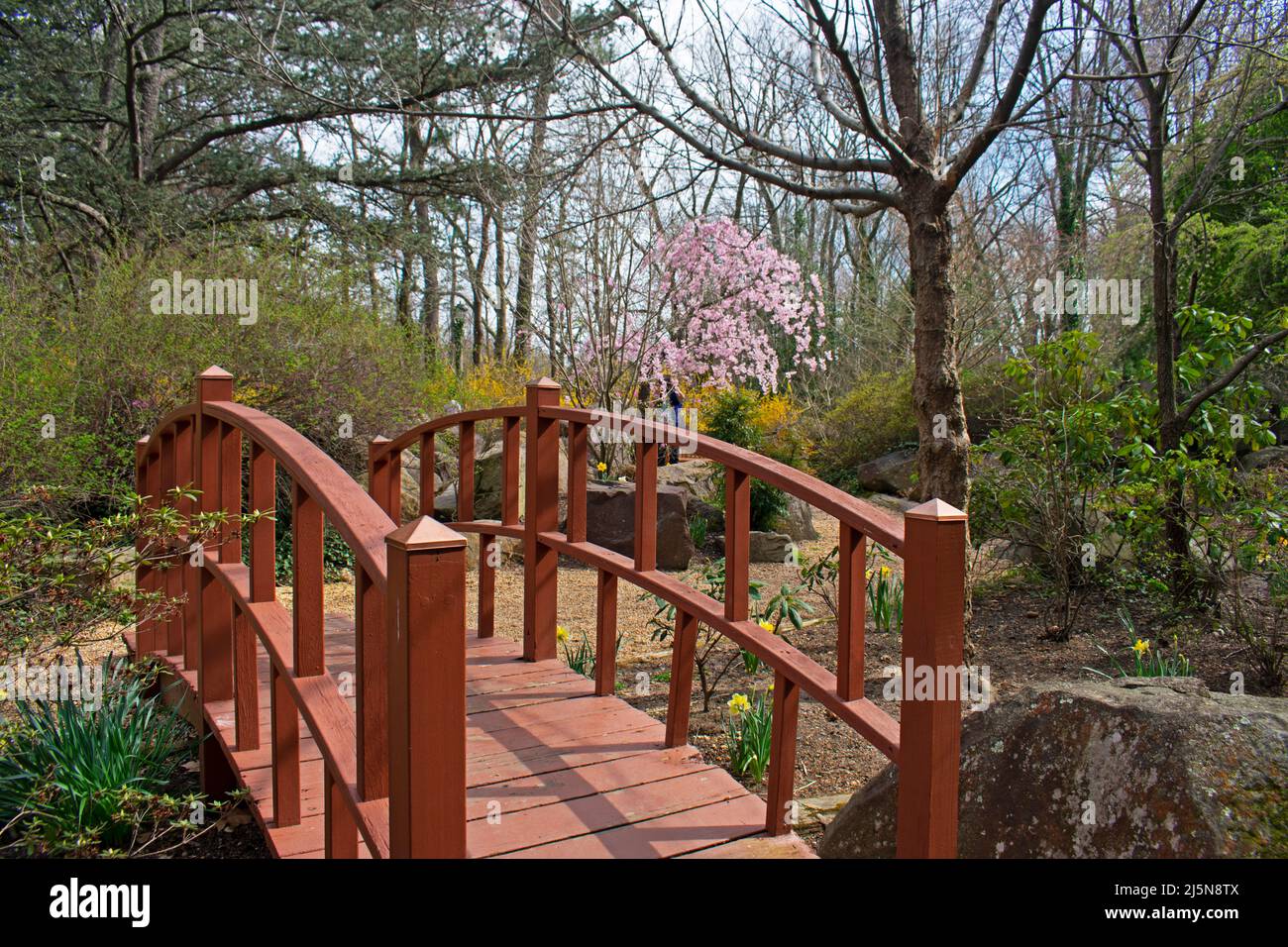 Small bridge in garden hi-res stock photography and images - Alamy