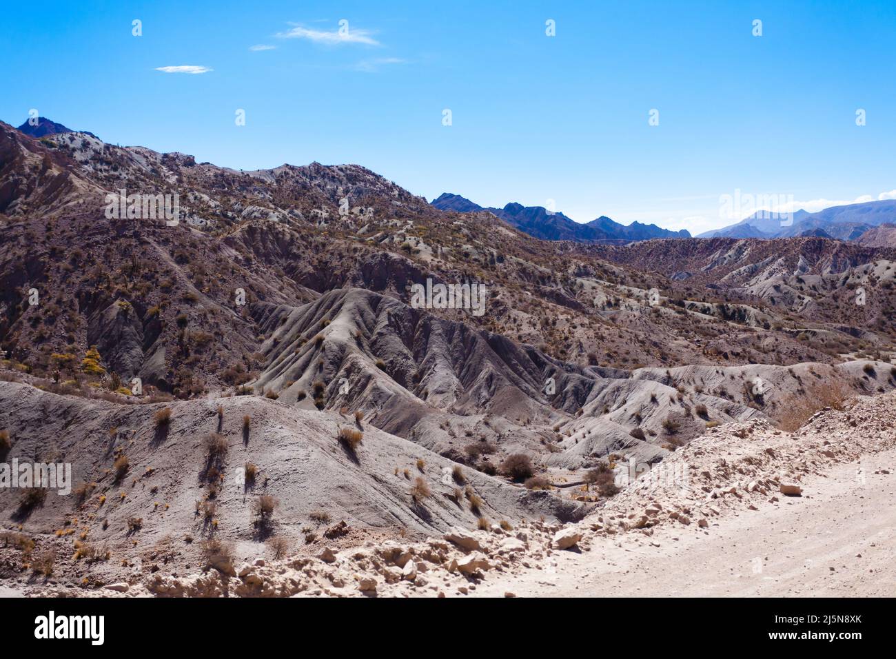 Bolivian canyon near Tupiza,Bolivia.Quebrada Seca,Duende canyon.Bolivian landscape Stock Photo